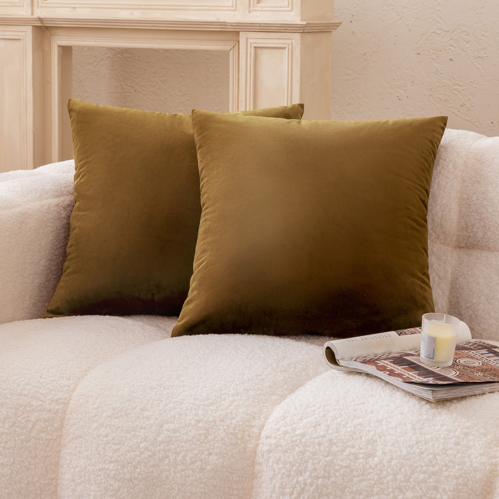 2 Pack 18"x18" Crystal Velvet Decorative Throw Pillow Covers
