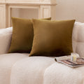 2 Pack 18"x18" Crystal Velvet Decorative Throw Pillow Covers