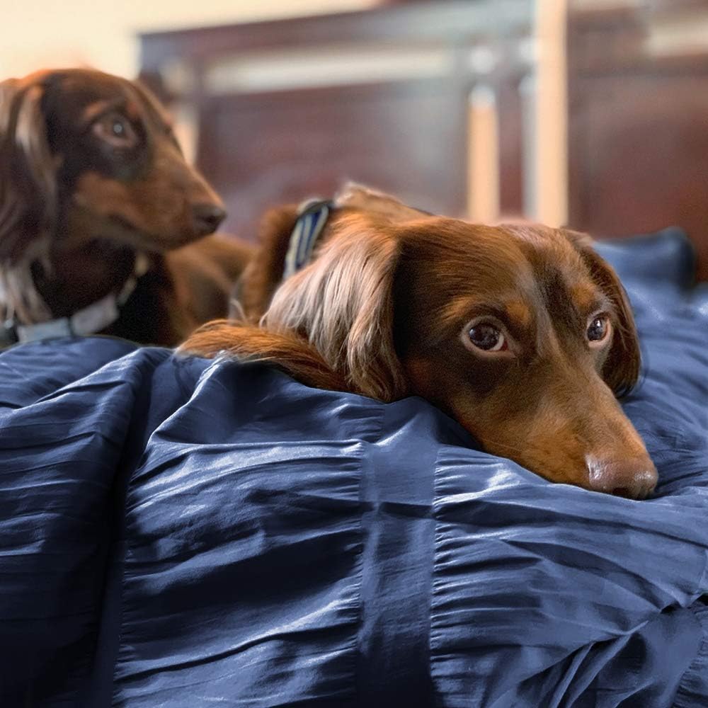 Luxury Seersucker Comforter Set 3-Piece, Soft & Lightweight Down Alternative Comforter Set with Pillow Sham Cooling for Summer