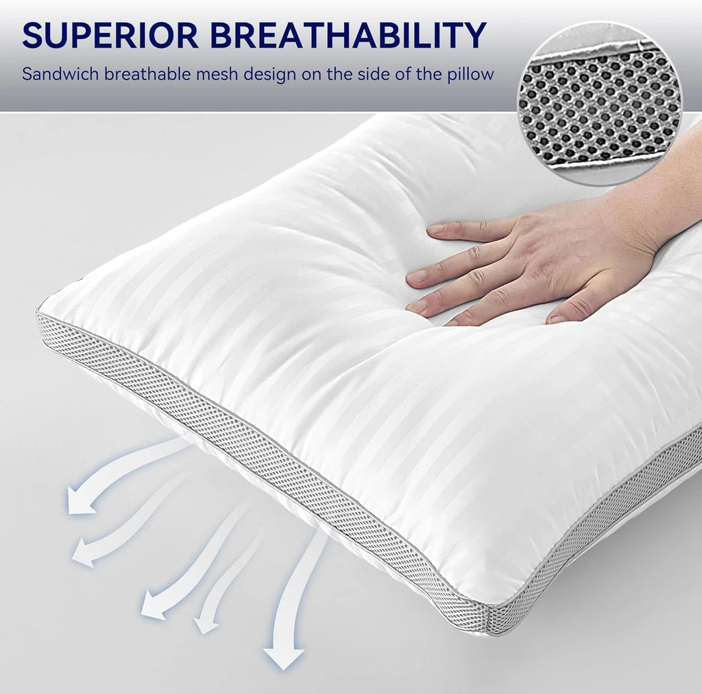 Breathable Sandwich Mesh Pillow Set of 2